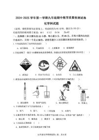 广东省珠海市第九中学2024-2025学年九年级上学期11月期中化学试题