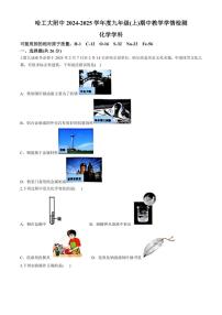 黑龙江省哈尔滨市工业大学附属中学校2024～2025学年九年级上学期期中化学试卷（含答案）