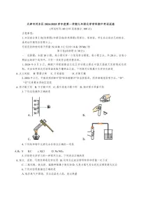 天津市河东区2024～2025学年九年级上学期11月期中考试化学试题(含答案)
