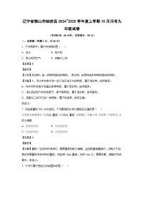 辽宁省鞍山市岫岩县2024_2025学年度上学期10月月考九年级化学试卷（解析版）