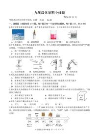 山东省菏泽市定陶区2024-2025学年九年级上学期期中考试化学试题
