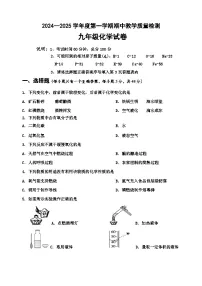 河北省秦皇岛市卢龙县2024-2025学年九年级上学期期中化学试题