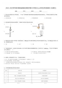 2024～2025学年贵州贵阳金阳新区贵阳市第三中学初三(上)月考化学试卷(第二次(期中))[原题+解析]
