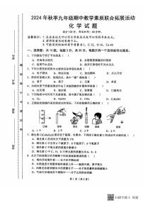 福建省泉州市泉港区2024-2025学年九年级上学期11月期中考试化学试题