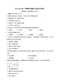广东省清远市连山县2024-2025学年九年级上学期期中检测化学试卷