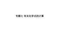 2025年中考化学二轮专题复习课件七：有关化学式的计算（含答案）