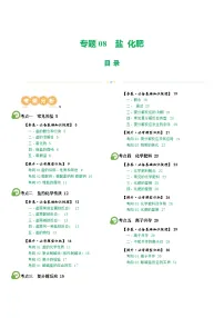 2025年中考化学一轮复习精讲专题08 盐 化肥（2份，原卷版+解析版）