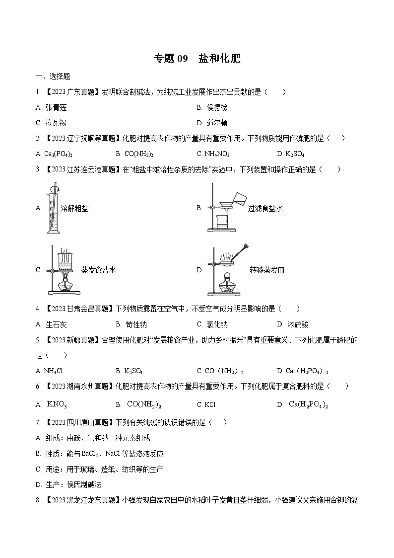 2025年中考化学真题分项汇编专题09 盐和化肥（2份，原卷版+解析版）