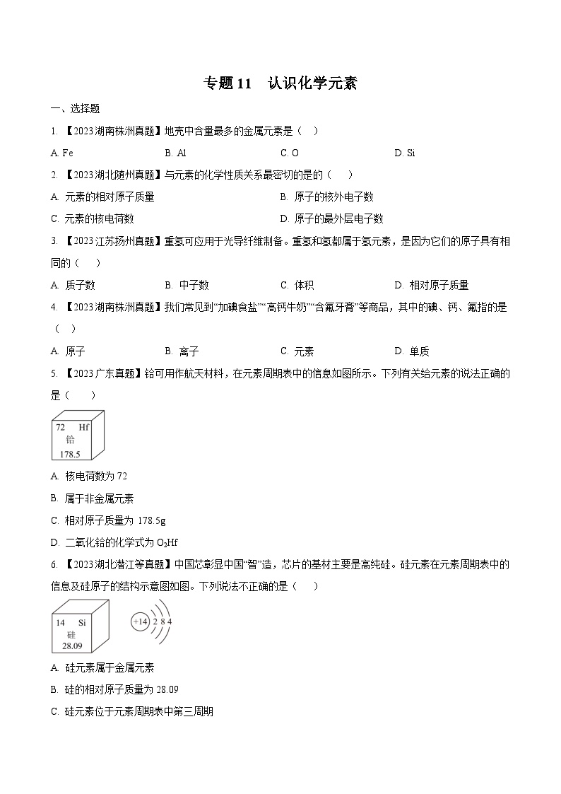 2025年中考化学真题分项汇编专题11 认识化学元素（2份，原卷版+解析版）