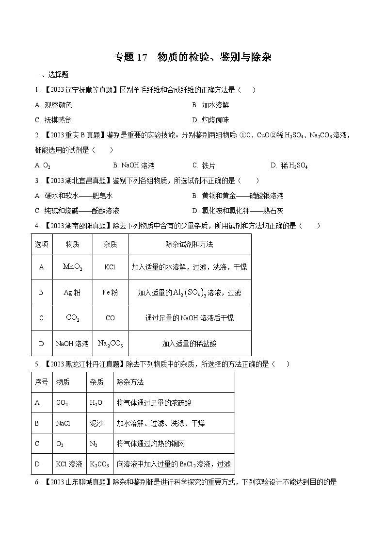 2025年中考化学真题分项汇编专题17 物质的检验、鉴别与除杂（2份，原卷版+解析版）