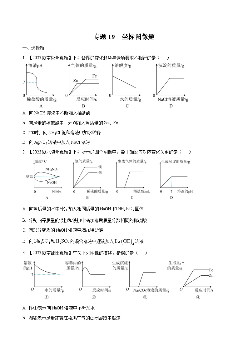 2025年中考化学真题分项汇编专题19 坐标图像题（2份，原卷版+解析版）