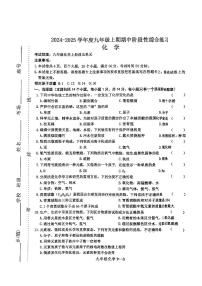 河南省信阳市淮滨县2024-2025学年九年级上学期11月期中考试化学试题