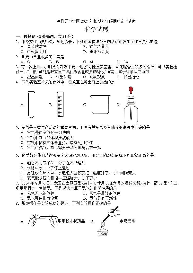 四川省泸州市泸县五中学区2024-2025学年九年级上学期11月期中联合考试化学试题01