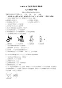 山东省菏泽市曹县2024～2025学年九年级(上)期中化学试题(含答案)