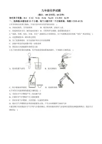 山东省日照市经济技术开发区献唐学校2024~2025学年九年级(上)期中化学试卷(含答案)