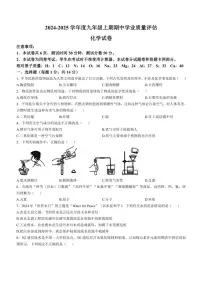 河南省漯河市召陵区2024～2025学年九年级(上)期中化学试卷(含答案)