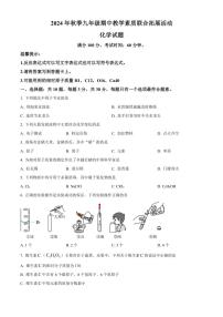 福建省泉州市泉港区2024～2025学年九年级(上)期中化学试卷(含答案)