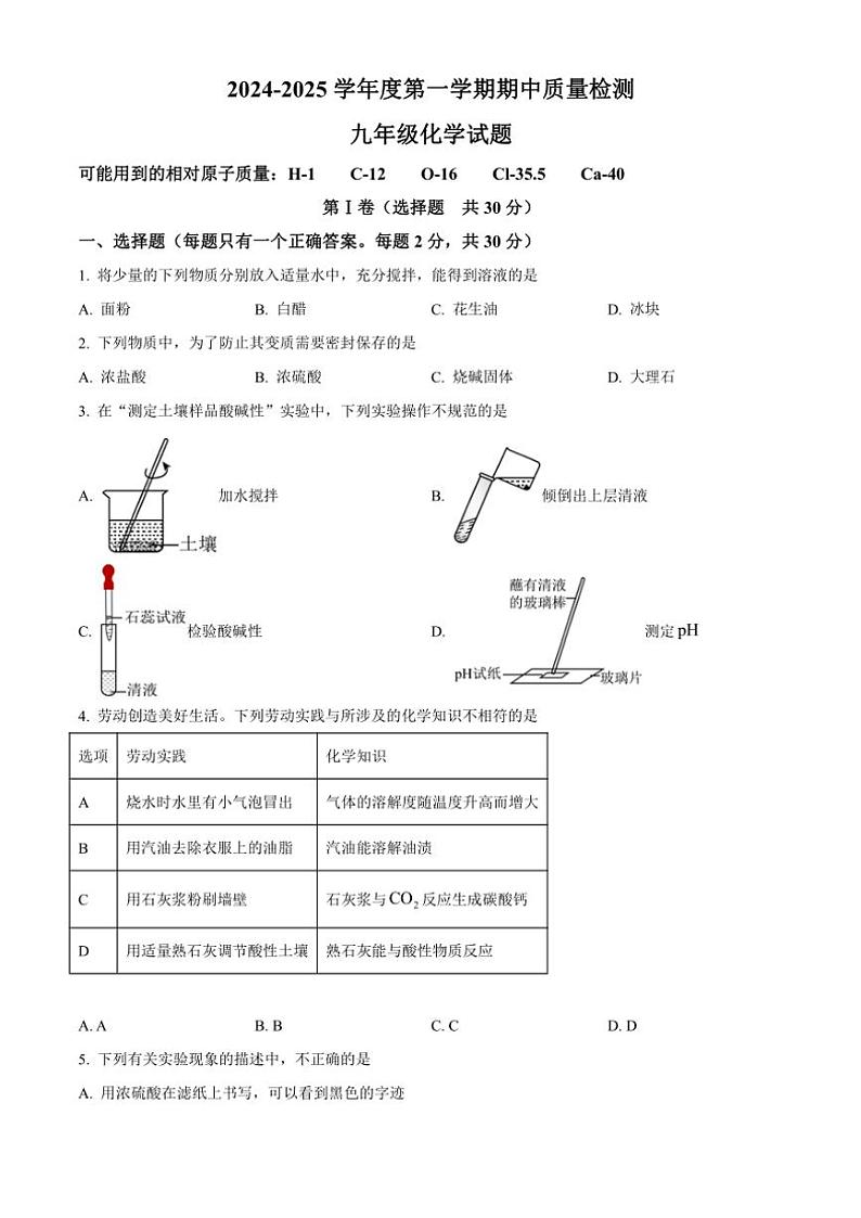 山东省济宁市北湖区2024~2025学年九年级(上)期中化学试卷(含答案)第1页