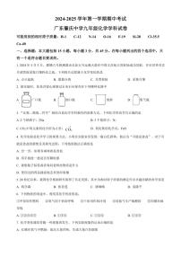 广东省肇庆市肇庆中学2024～2025学年九年级(上)期中化学试卷(含答案)