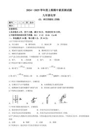 河南省驻马店市泌阳县2024～2025学年九年级(上)期中化学试卷(含答案)