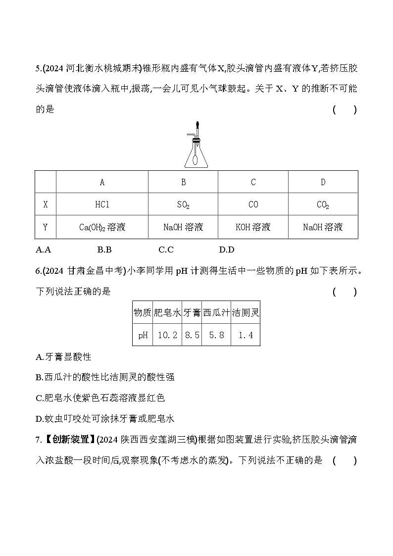 人教版(2024)初中化学九年级下册 第十单元 单元综合测试卷02