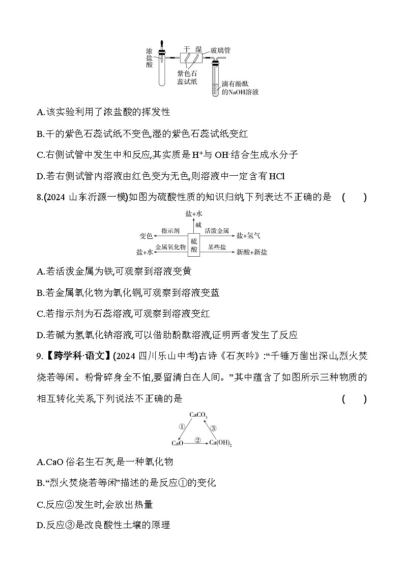人教版(2024)初中化学九年级下册 第十单元 单元综合测试卷03