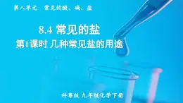 8.4 常见的盐 第1课时  课件---2024-2025学年九年级化学科粤版（2024）下册