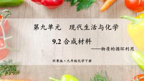 科粤版（2024）九年级下册第九章 现代生活与化学9.2 化学合成材料集体备课ppt课件