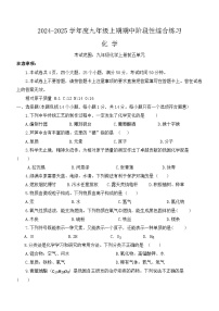 河南省信阳市淮滨县2024-2025学年九年级上学期11月期中考试化学试题