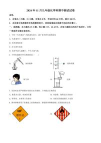 广东省中山市部分学校2024～2025学年九年级(上)期中化学试卷(含答案)