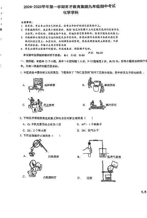 广东省深圳市南山区育才集团2024-2025学年九年级上学期期中考试化学试题第1页