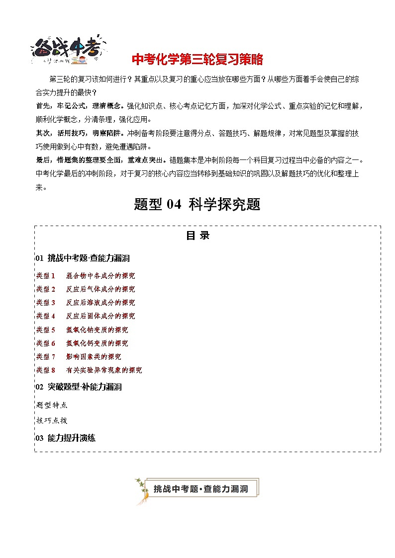 题型04 科学探究题(原卷版)第1页