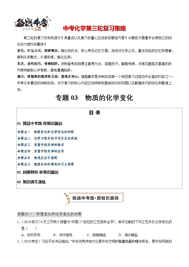 专题03 物质的化学变化(原卷版)第1页