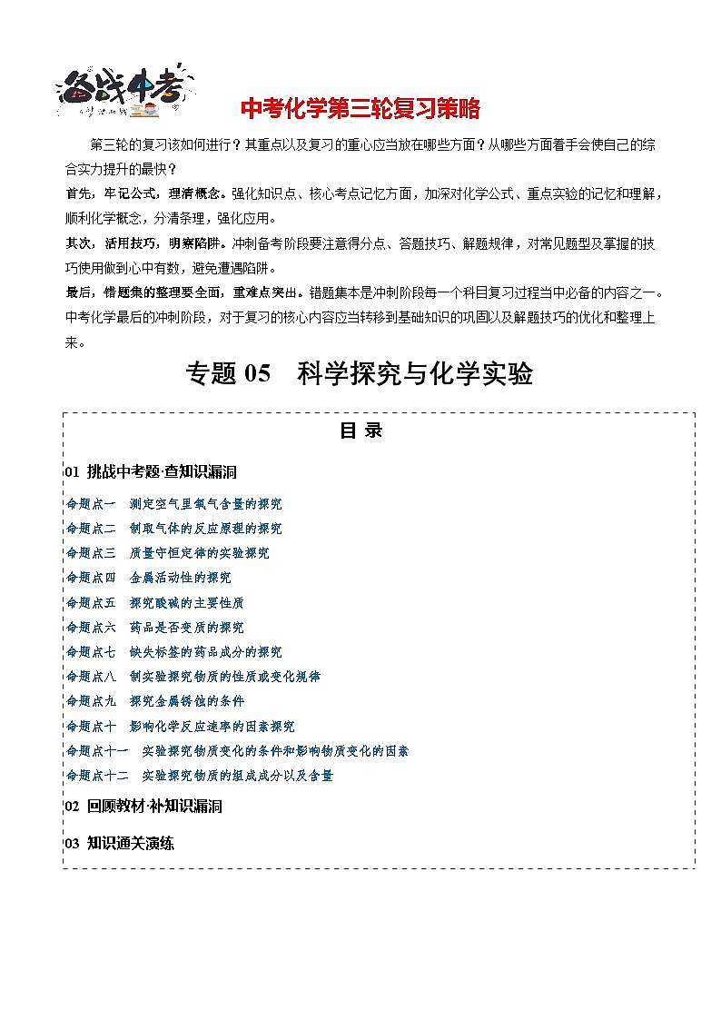专题05 科学探究与化学实验 (原卷版)第1页