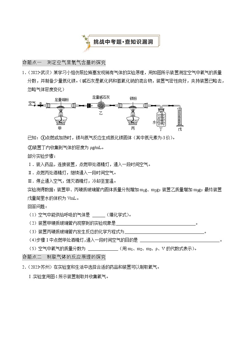 专题05 科学探究与化学实验 (原卷版)第2页