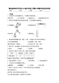 湖北省荆州市沙市区2025届九年级上学期11月期中考试化学试卷(含答案)