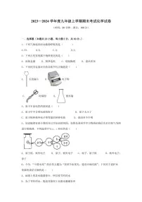 2023～2024学年黑龙江省绥化市海伦市扎音河乡中学九年级(上)期末考试化学试卷(含解析)
