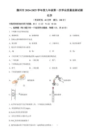 海南省儋州市2024~2025学年九年级(上)期中化学试卷(含答案)