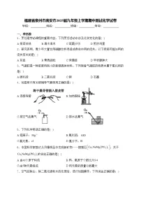 福建省泉州市南安市2025届九年级上学期期中测试化学试卷(含答案)