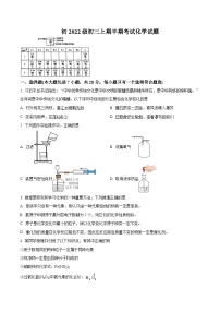 四川省资阳市安岳中学2024-2025学年九年级上学期期中化学试题