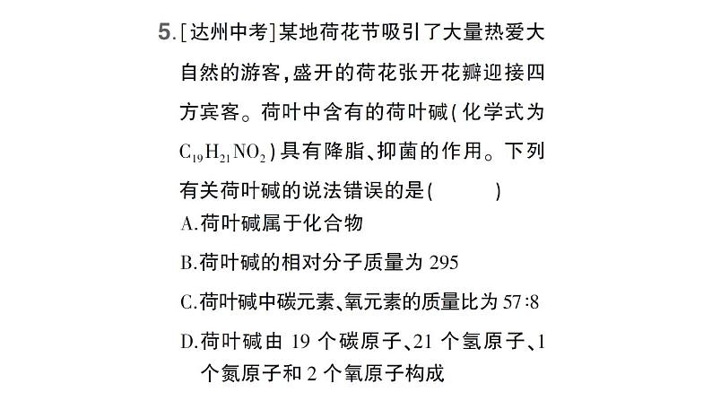 初中化学新科粤版九年级上册4.1 化学式作业课件(2024秋)第6页