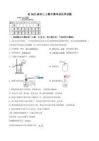 四川省资阳市安岳中学2024~2025学年九年级(上)期中化学试卷(含答案)