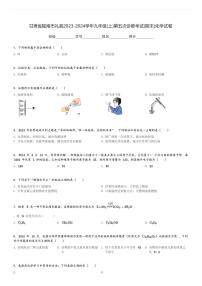 甘肃省陇南市礼县2023-2024学年九年级(上)第五次诊断考试(期末)化学试卷(含解析)