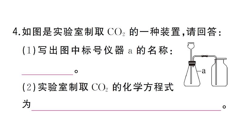 初中化学新人教版九年级上册第六单元课题3 二氧化碳的实验室制取作业课件(2024秋)06