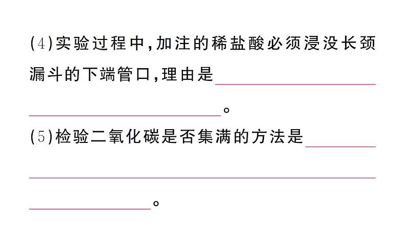 初中化学新人教版九年级上册第六单元课题3 二氧化碳的实验室制取作业课件(2024秋)08