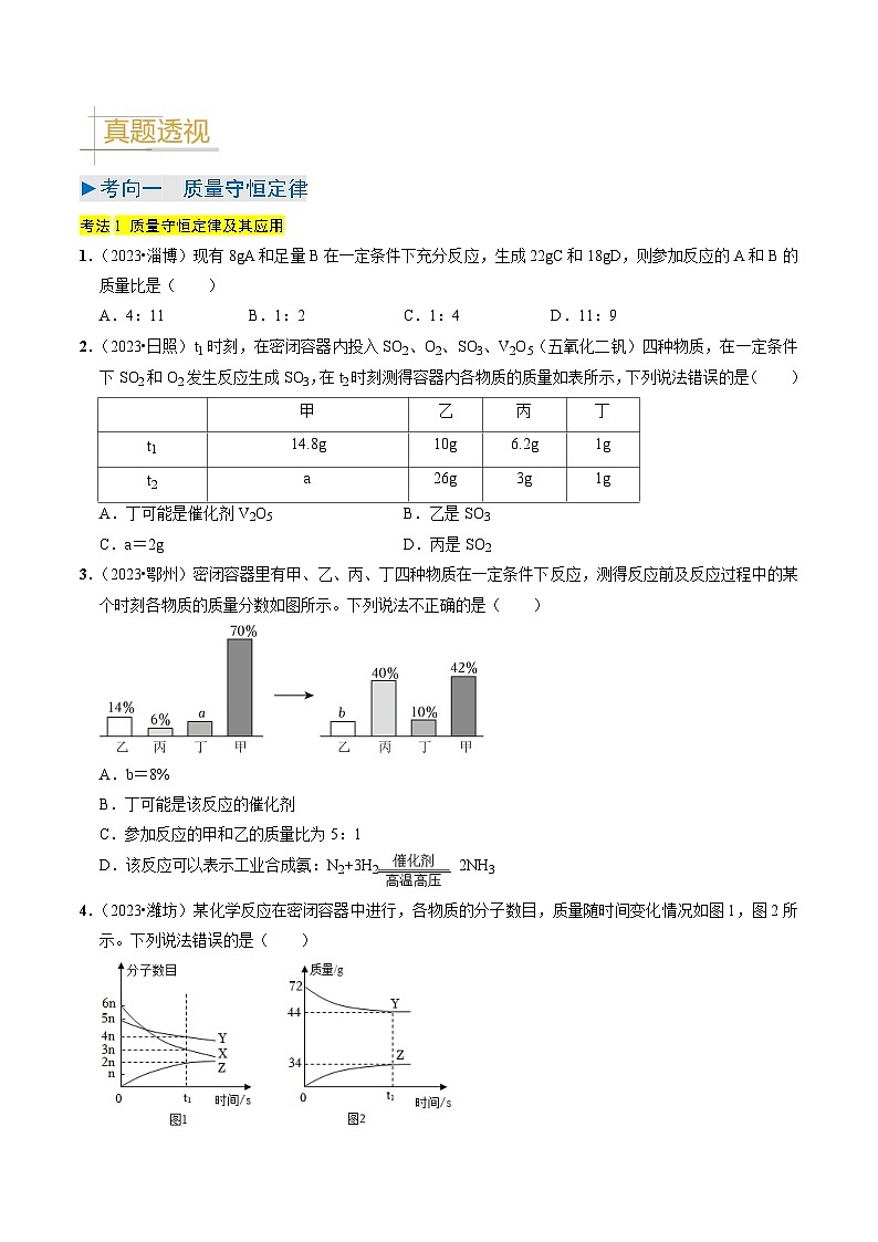 专题11 质量守恒定律 化学方程式(原卷版)第2页