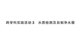 初中化学新人教版九年级上册第四单元跨学科实践活动三 水质检测及自制净水器作业课件（2024秋）