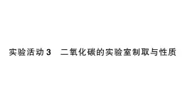 初中化学新人教版九年级上册第六单元实验活动三 二氧化碳的实验室制取与性质作业课件（2024秋）