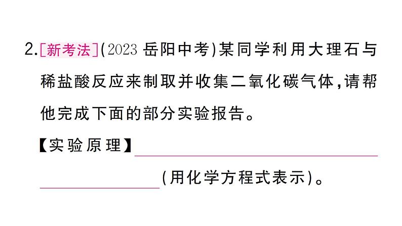 初中化学新人教版九年级上册第六单元实验活动三 二氧化碳的实验室制取与性质作业课件(2024秋)第3页