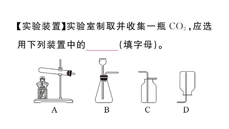 初中化学新人教版九年级上册第六单元实验活动三 二氧化碳的实验室制取与性质作业课件(2024秋)第4页
